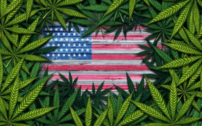 Americans support of cannabis hits new high