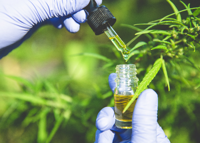 Fed Government Funding Opportunity for Research on Cannabis’ role in Cancer Treatment