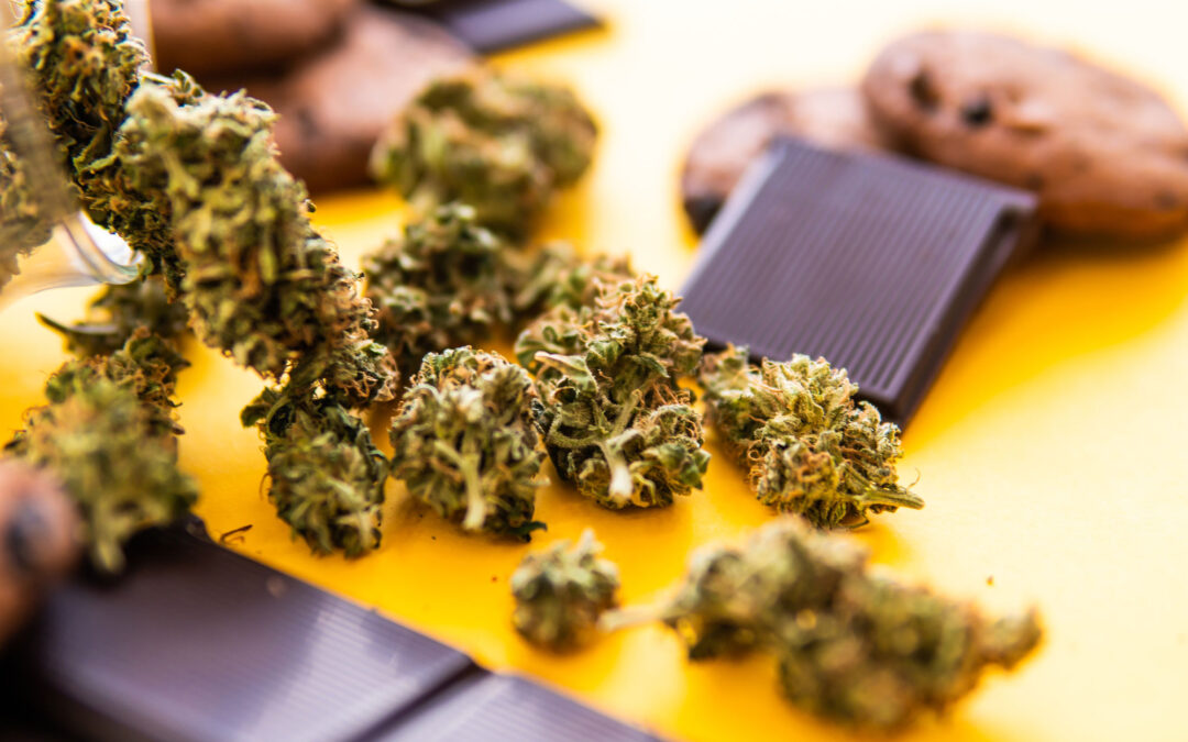 Visiting a Marijuana Dispensary: 8 Things First-Timers Need to Know