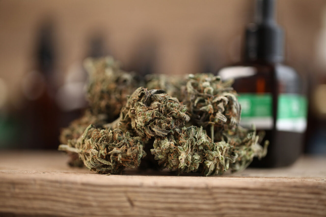 Visiting a Marijuana Dispensary 8 Things FirstTimers Need to Know Green Tree Medicinals