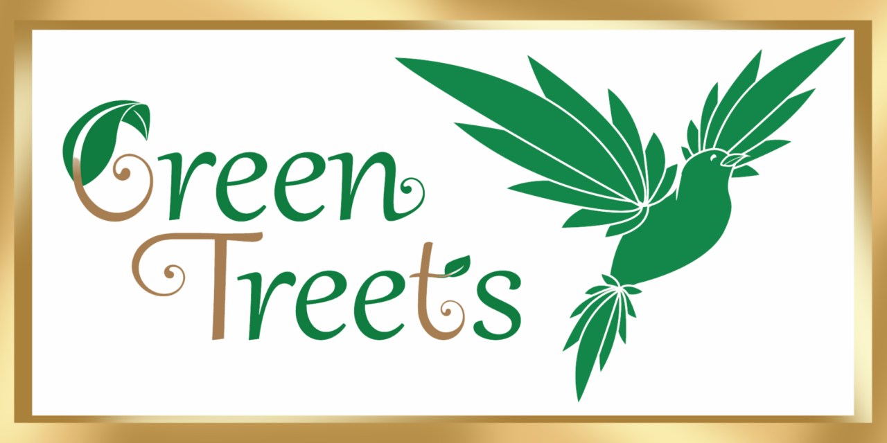Green Tree Medicinals Longmont's Best Cannabis Dispensary